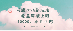 书旗2025新玩法，收益突破上限10000，小白可做-副业网创