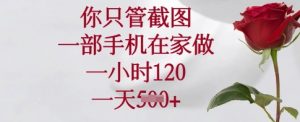 你只管截图，一部手机在家做，一小时120.一天5张【揭秘】-副业网创