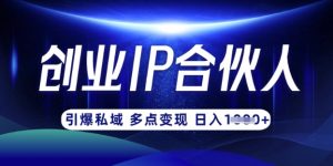 云帆·创业ip合伙人打造3.0，从0到1教你做网创，实现月入过W-副业网创
