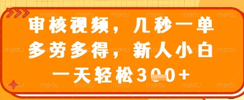 审核视频，几秒一单，多劳多得，新人小白一天轻松3张【揭秘】-副业网创