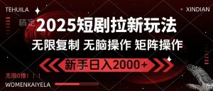 2025短剧拉新玩法，无需注册登录，无限0撸，无脑批量操作日入2000+-副业网创
