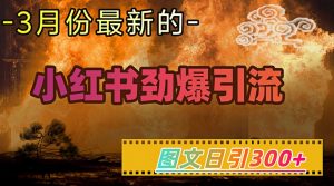 小红书超劲爆引流手段，图文日引300+轻松变现1W-副业网创