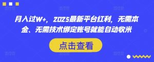 月入过W+，2025最新平台红利，无需本金、无需技术绑定账号就能自动收米-副业网创