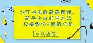 小红书电商高级课程,新手小白必学方法,实操教学+案例分析-副业网创