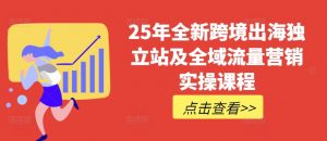 25年全新跨境出海独立站及全域流量营销实操课程,跨境电商独立站TIKTOK全域营销普货特货玩法大全-副业网创