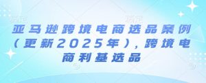亚马逊跨境电商选品案例(更新2025年3月)，跨境电商利基选品-副业网创