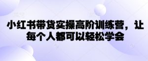 小红书带货实操高阶训练营，让每个人都可以轻松学会-副业网创