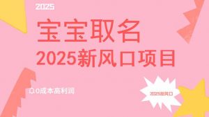 2025新风口项目宝宝取名，0成本高利润，附保姆级教程，月入过万不是梦-副业网创
