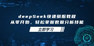 deepSeek快速驯服教程，从零开始，轻松掌握数据分析技能-副业网创