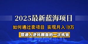 2025蓝海项目,普通人如何通过卖项目,实现月入过W,全过程【揭秘】-副业网创