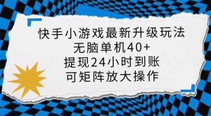快手小游戏最新版升级玩法，新风口，无脑单机日入40+，可批量放大，小...-副业网创