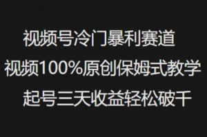 视频号冷门暴利赛道视频100%原创保姆式教学起号三天收益轻松破千-副业网创