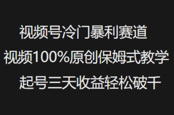 视频号冷门暴利赛道视频100%原创保姆式教学起号三天收益轻松破千-副业网创