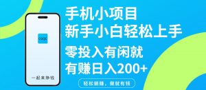 手机小项目新手小白轻松上手零投入有闲就有赚日入200+-副业网创