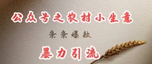 deepseek写农村小项目，条条爆款，暴力引流-副业网创