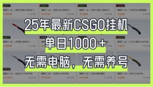 25年最新CSGO挂机系统，单日1000+，无需电脑，无需养号，0基础可上手-副业网创