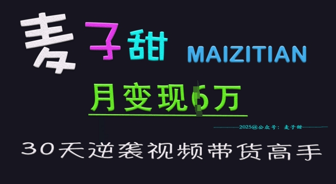 麦子甜30天逆袭视频带货高手，单月变现6W加特训营-副业网创