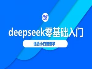 deepseek零基础入门-deepseek教程2025,适合小白慢慢学-副业网创