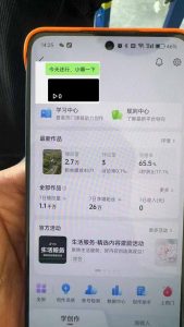 抖音暴力涨粉技术：一天轻松1-10万粉，技术不确定真实性，自测-副业网创