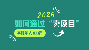 2025年如何通过“卖项目”实现年入100w-副业网创