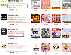 0成本虚拟项目实战手把手教你落地，单店月入5k-副业网创