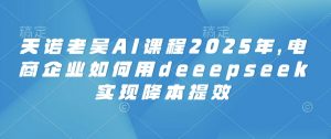 天诺老吴AI课程2025年，电商企业如何用deeepseek实现降本提效-副业网创
