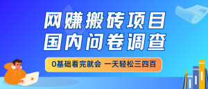 网赚搬砖项目,国内问卷调查,0基础看完就会 一天轻松三四百,靠谱副业...-副业网创