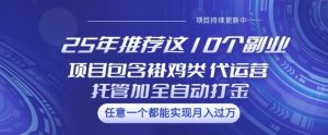 25年推荐这10个副业项目包含褂鸡类、代运营托管类、全自动打金类【揭秘】-副业网创