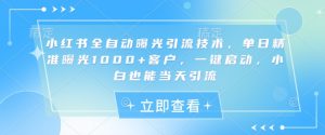 小红书全自动曝光引流技术，单日精准曝光1000+客户，一键启动，小白也能当天引流【揭秘】-副业网创