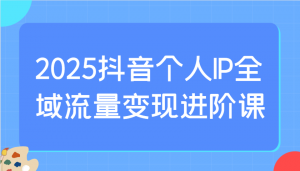 2025抖音个人IP全域流量变现进阶课:选爆品、抖音付费投流、千川投流实操及优化等-副业网创