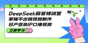DeepSeek获客特训营:掌握不出镜视频制作,日产百条IP口播视频-副业网创
