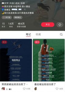 小红书治愈文案图文笔记,零门槛,一分钟制作轻松制作爆款作品月入万元-副业网创