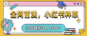 小红书种草，手机项目，日入3张，复制黏贴即可，可矩阵操作，动手不动脑【揭秘】-副业网创