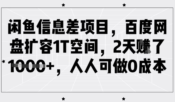 闲鱼信息差项目，百度网盘扩容1T空间，2天收益1k+，人人可做0成本-副业网创