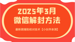 2025年3月微信解封方法 最新跳辅助核对技术【小伙伴亲测】-副业网创