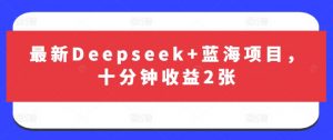 最新Deepseek+蓝海项目,十分钟收益2张-副业网创