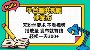 平台提供视频 你发布 无粉丝要求 不看视频播放量 发布就有钱 轻松一天300+-副业网创