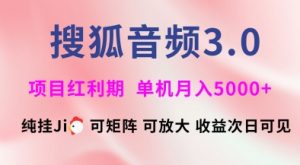 搜狐音频挂ji3.0.可矩阵可放大,独家技术,稳定月入5000+【揭秘】-副业网创
