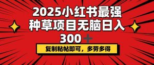 2025小红书最强种草项目，无脑日入300+，复制粘帖即可，多劳多得-副业网创