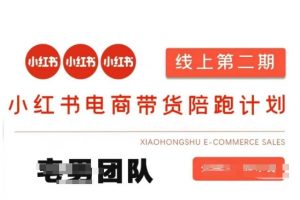 小红书电商带货课2期，月利润20个的小红书电商的有货源，无货源，虚拟产品，付费投流等整套玩法-副业网创