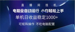 2025直播间最新玩法单机日入1000+ 全自动运行 可矩阵操作-副业网创