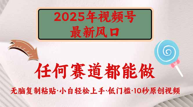 2025年视频号新风口，低门槛只需要无脑执行-副业网创