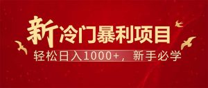 项目名称:每天一小时,轻松到手1000,冷门赚钱项目!-副业网创