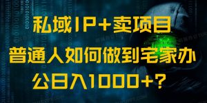 私域IP+卖项目，普通人如何做到宅家办公实现日入1000+-副业网创