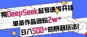 用DeepSeek起号速度开挂，单条作品涨粉2w+，日入5张+的暴利玩法-副业网创