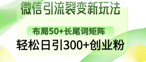 微信引流裂变新玩法：布局50+长尾词矩阵，轻松日引300+创业粉-副业网创
