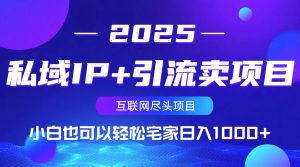 私域IP+引流卖项目,小白也可以做到轻松宅家日入1000+-副业网创