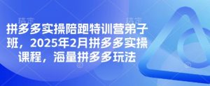 拼多多实操陪跑特训营弟子班,2025年2月拼多多实操课程,海量拼多多玩法-副业网创