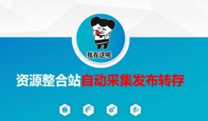 资源整合站自动采集发布转存，解放双手-副业网创