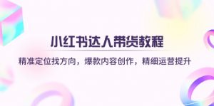 小红书达人带货教程：精准定位找方向，爆款内容创作，精细运营提升-副业网创